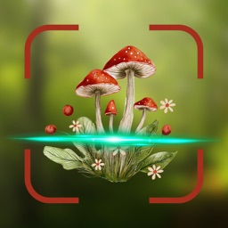 Mushroom Identifier AI Picture