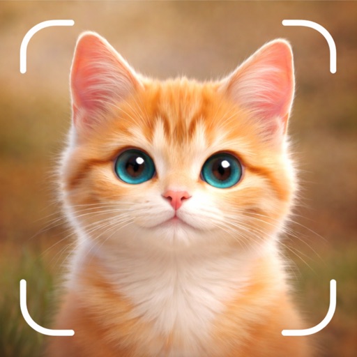 Cat Breed Identifier: Scanner