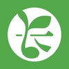豆芽菜 icon