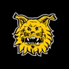 Tampereen Ilves icon