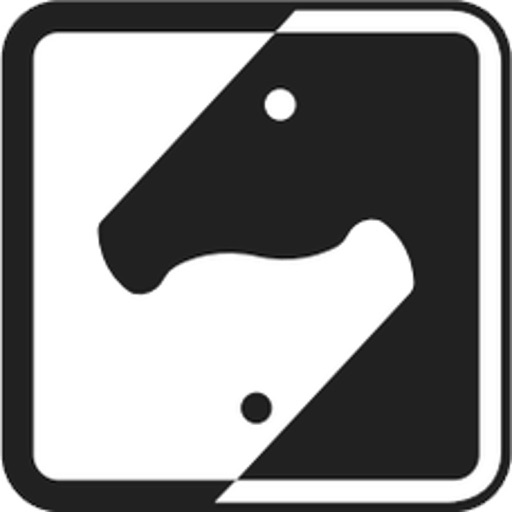 Square Off Chess