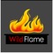 Fireplace control app for brand WildFlame