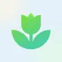 Plant App: Plant Identifier