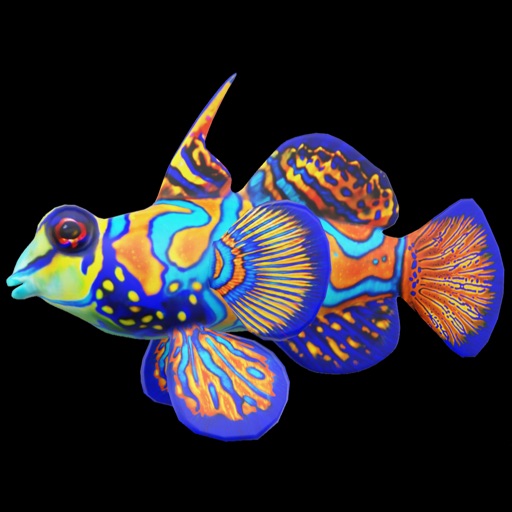 Mandarin Fish icon