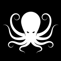 Evol Octopus Jiu-Jitsu Academy