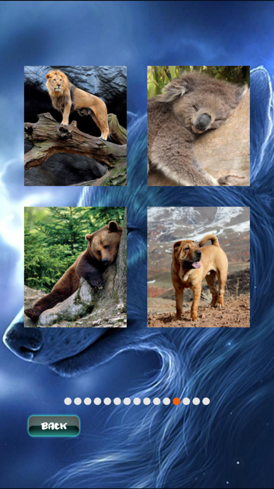 #4. Animals Jigsaw Puzzle (iOS) 来自: John Smith