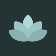 Meditation & Mindful Moments