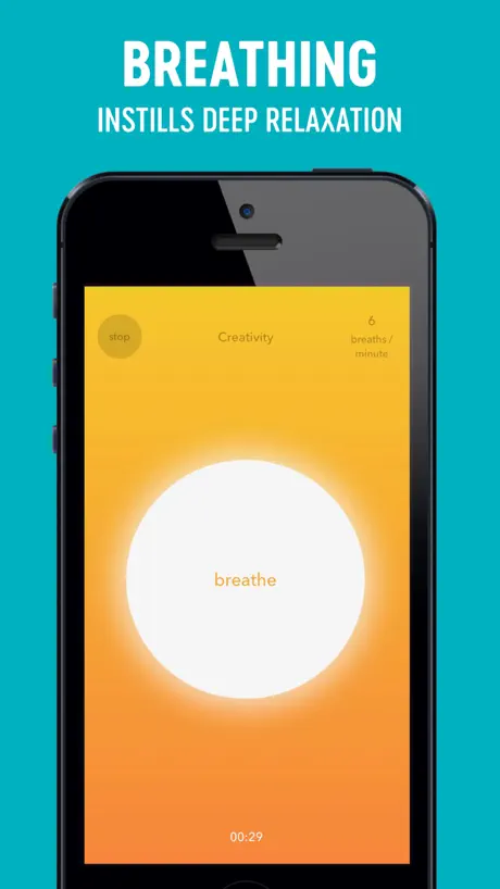 HERE Meditation