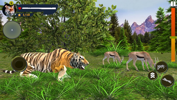 Wild Tiger Simulator