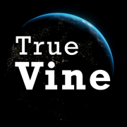 Elite Christian Dating TrueVin