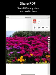 hellopdf-pdf converter&scanner айпад изображения 3