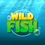 Wild Fish Explorer