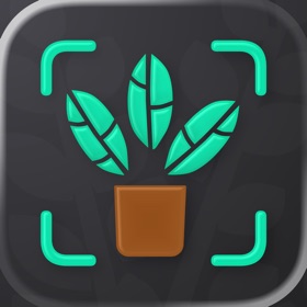 Plant Identifier. Fix Disease