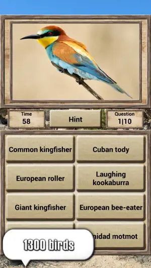 Animal Kingdom - Quiz Game screenshot 3