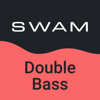 SWAM Double Bass - Audio Modeling