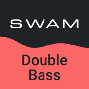 SWAM Double Bass