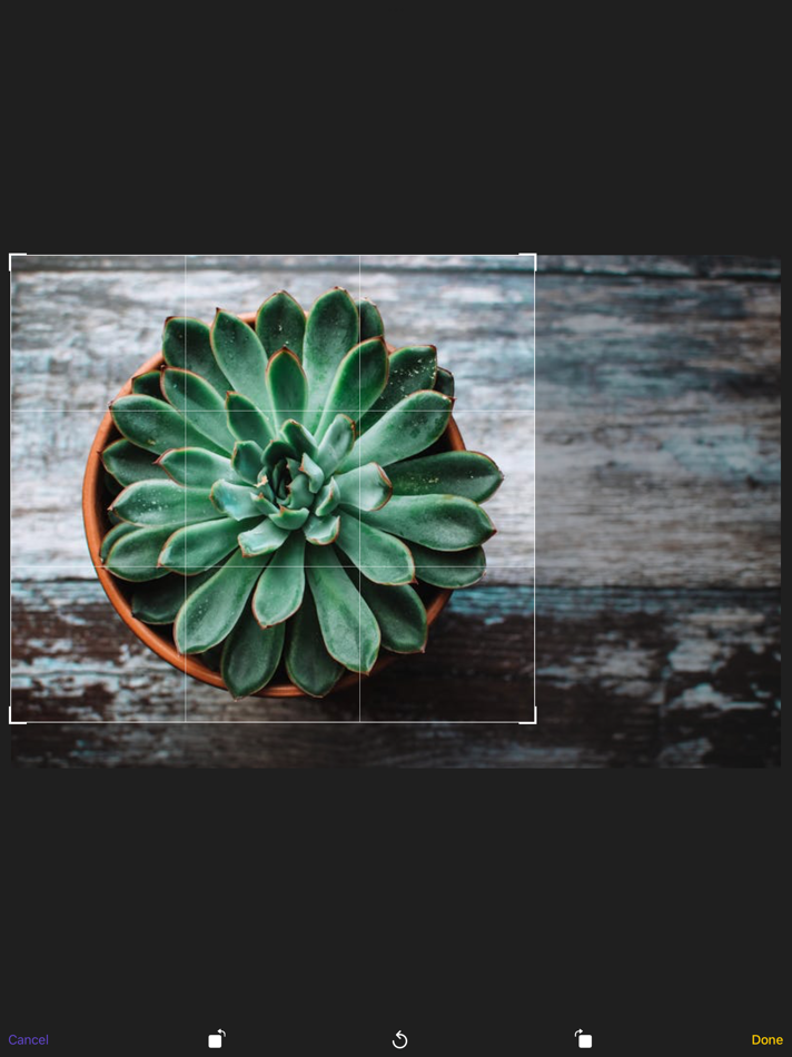 #4. Reverse Image Search – RIMG (iOS) By: Wios