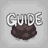 Guide for Binding of Isaac icon