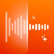 Denoise Audio: Noise Reducer