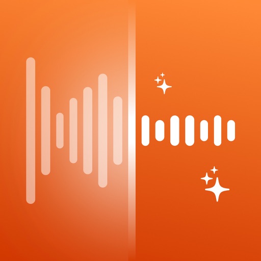 Denoise Audio: Noise Reducer