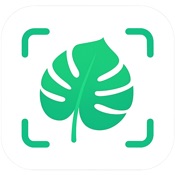 Plant Identifier - Plantitude