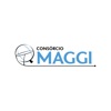 Consórcio Maggi icon