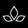 Kaya Dispensary icon