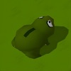 Frogger Roader