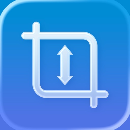 Verticalizer: Resize Videos