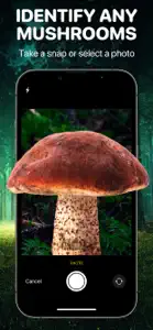 Mushroom Identifier App: Fungi screenshot #1 for iPhone