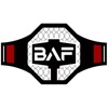 Building A Fighter icon