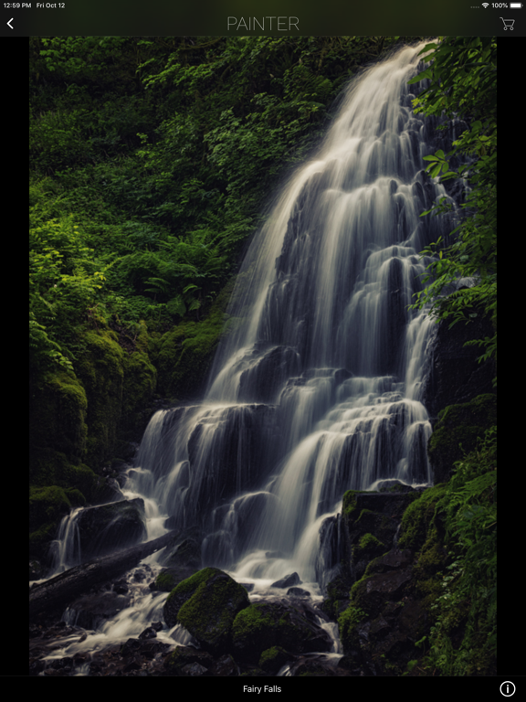 Screenshot #5 pour Ryan Painter