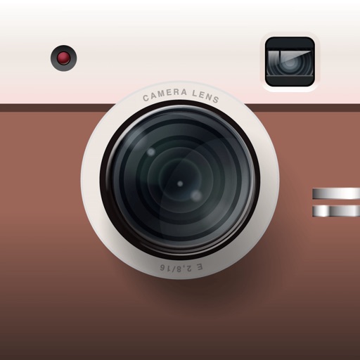 DZVS Cam Vintage Camera Filter