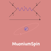 MuoniumSpin