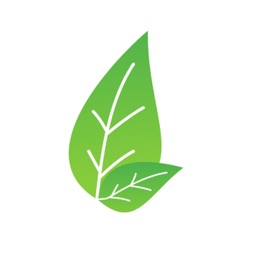 CLEAN | Get Your Trash Cleaned