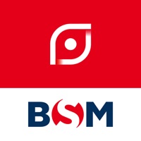 BSM IRT logo