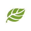Salal Credit Union icon