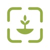 TreeCorder icon