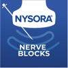 NYSORA Nerve Blocks - iPhoneアプリ