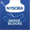 NYSORA Nerve Blocks Positive Reviews, comments