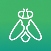 Greenfly