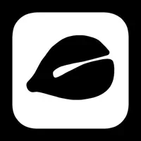 ZenInPocket