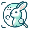BunnyVision icon