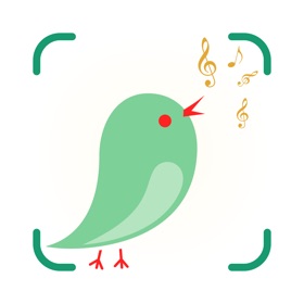 Bird Identifier: Bird Sound ID