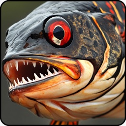 Wild Animals Online(WAO)