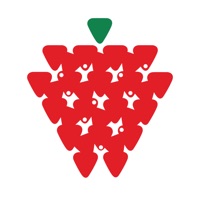 Strawberry Fields High School app icon - Education app for iPhone