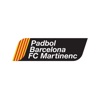 Padbol Barcelona icon