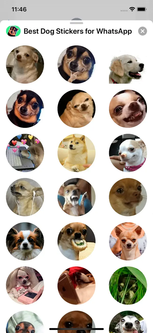Screenshot #2 pour Best Dog Stickers for iMessage