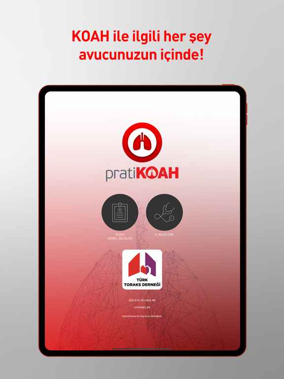 Screenshot #4 pour pratiKOAH