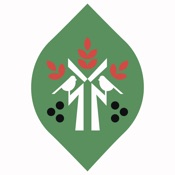 Алюшина Страсть